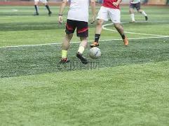 金价飙升突,破新高,即便美元强,OD体育官网,APP下载,注册领彩金,官方网站,网站入口