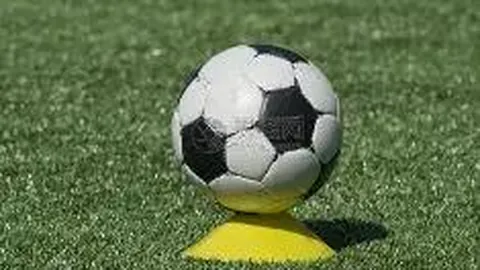 od体育 产品 113701 1zf