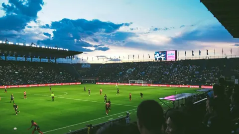 【2023蛇年必中秘籍】双色球25145期凤尾精选：29与33，双色盛宴，不容错过！